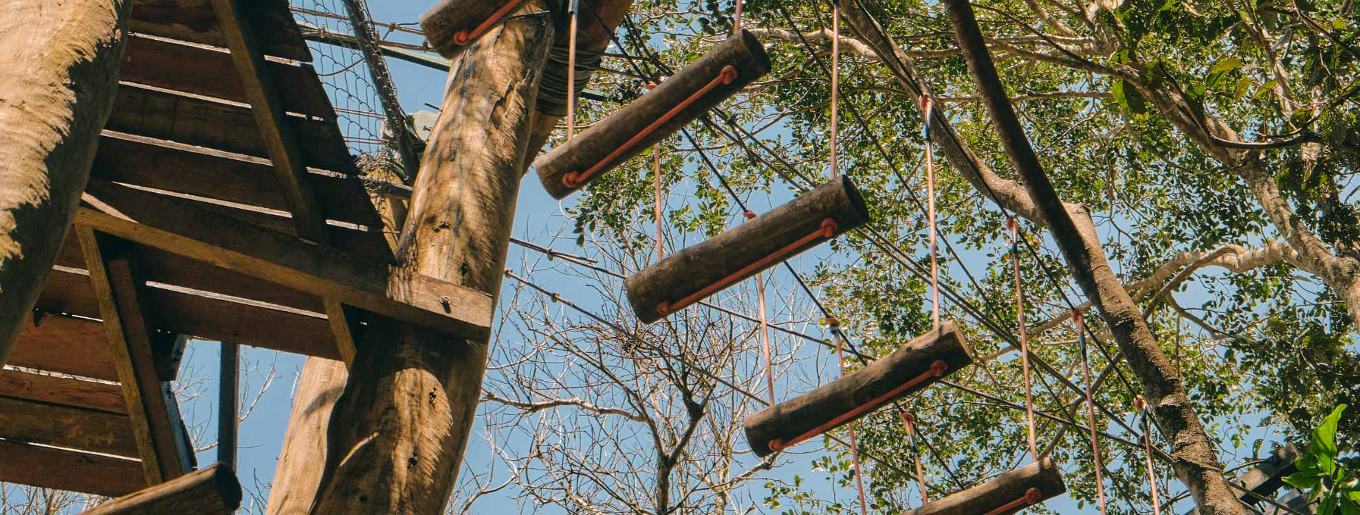 Estructura de madera con escalera y cuerda rodeada de árboles.