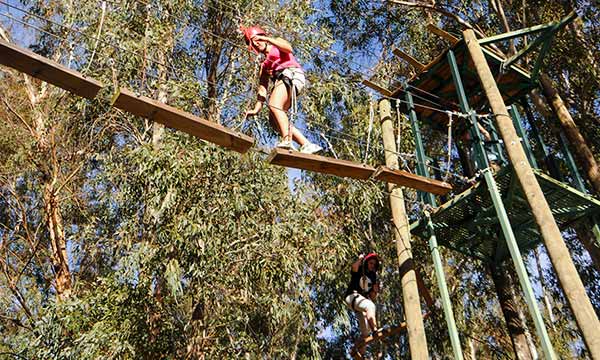 Dos niñas en un parque de aventuras subidas a un puente colgante.